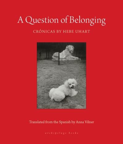 Cover for Hebe Uhart · A Question of Belonging: Cronicas (Paperback Book) (2024)