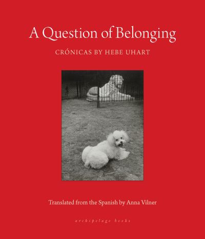 A Question of Belonging: Cronicas - Hebe Uhart - Books - Archipelago Books - 9781953861801 - May 28, 2024