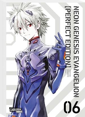 Cover for Neon Genesis Evangelion · Perfect Edition Bd06 (Bog)