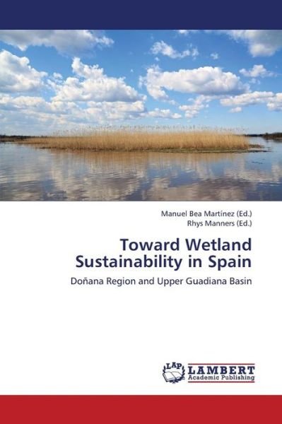 Cover for Bea Martinez Manuel · Toward Wetland Sustainability in Spain (Paperback Book) (2013)