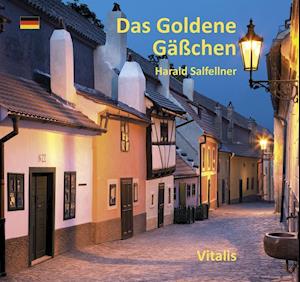 Cover for Salfellner · Das Goldene Gässchen (Book)