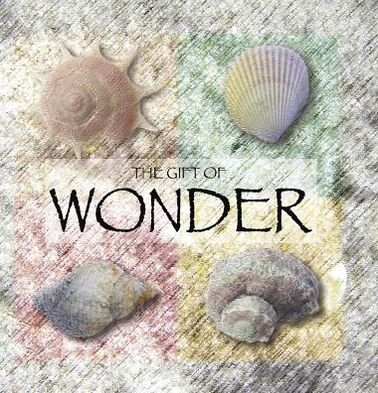 Cover for Ben Alex · The Gift of Wonder (Quotes) (Gift Book) (Hardcover Book) (2010)
