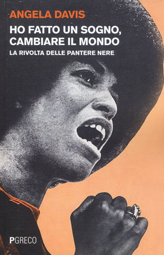 Cover for Angela Davis · Ho Fatto Un Sogno, Cambiare Il Mondo. La Rivolta Delle Pantere Nere (Bog)