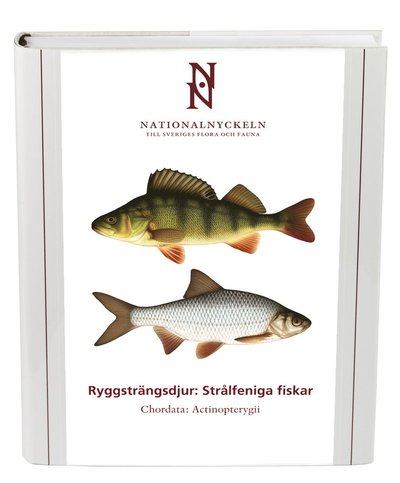 Cover for Bo Delling Sven O. Kullander · Ryggsträngsdjur : strålfeniga fiskar. Chordata : actinopterygii (Hardcover Book) (2012)