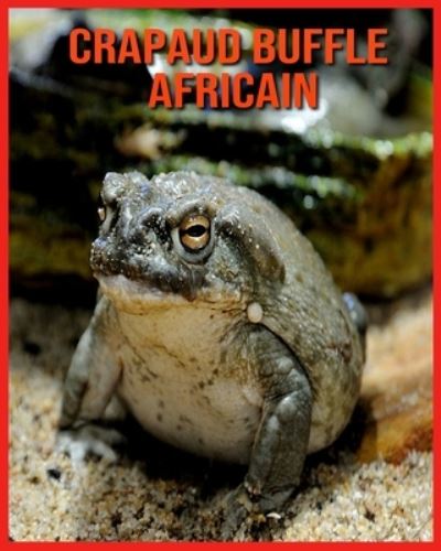 Cover for Alicia Moore · Crapaud Buffle Africain (Paperback Book) (2021)