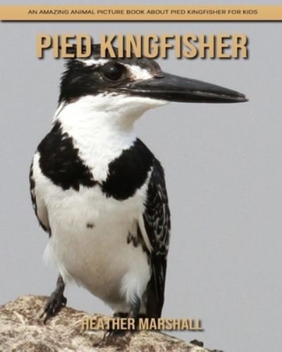 Cover for Heather Marshall · Pied Kingfisher: An Amazing Animal Picture Book about Pied Kingfisher for Kids (Paperback Book) (2021)