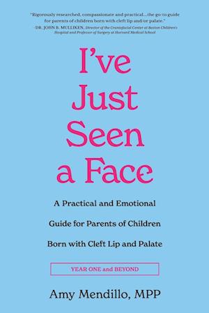I've Just Seen a Face - Amy Mendillo - Livros - Luminare Press, LLC - 9798886790801 - 15 de maio de 2023