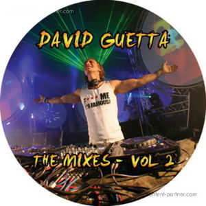 The Mixes 2 - David Guetta - Musik - paragon records - 9952381700801 - 3. juni 2011