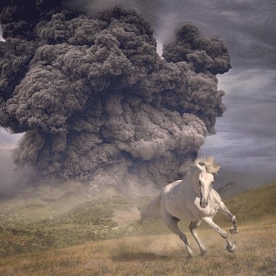 The White Buffalo · Year of the Dark Horse (2 Clear Lp) (LP) (2023)