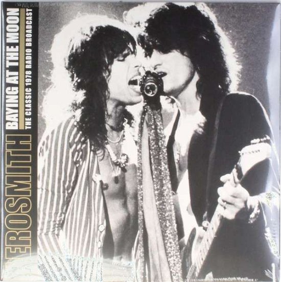 Cover for Aerosmith · Baying at the Moon (VINYL) (2014)