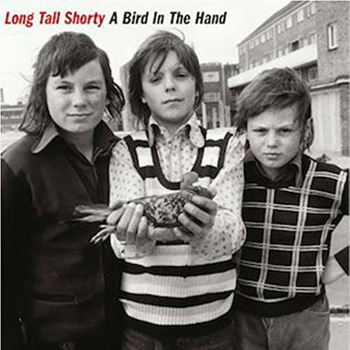 Cover for Long Tall Shorty · A Bird In The Hand (LP) (2021)