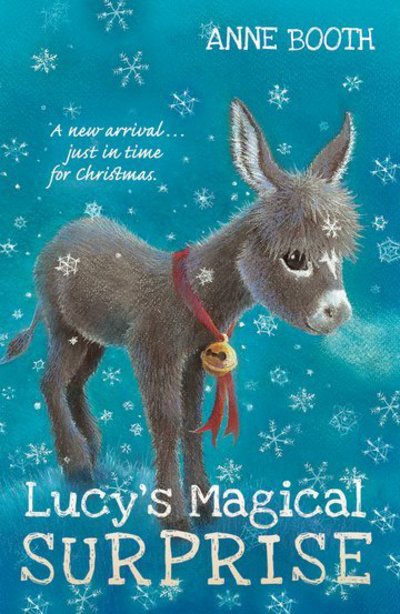 Cover for Booth, Anne (, Kent, UK) · Lucy's Magical Surprise (Paperback Book) (2017)