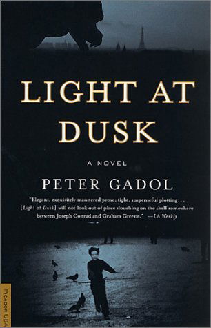 Cover for Peter Gadol · Light at Dusk: a Novel (Taschenbuch) [First edition] (2001)