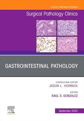 Cover for Gastrointestinal Pathology, An Issue of Surgical Pathology Clinics - The Clinics: Surgery (Gebundenes Buch) (2020)