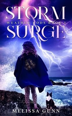 Cover for Melissa Gunn · Storm Surge (Hardcover Book) (2022)