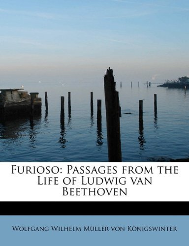 Furioso: Passages from the Life of Ludwig Van Beethoven - Wolfg Wilhelm M. Ller Von K. Nigswinter - Livros - BiblioLife - 9780554741802 - 1 de agosto de 2008