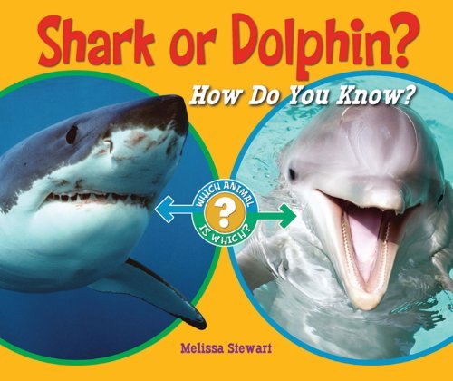 Cover for Melissa Stewart · Shark or Dolphin?: How Do You Know? (Which Animal is Which?) (Innbunden bok) (2011)