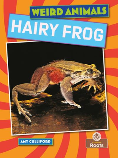 Cover for Amy Culliford · Hairy Frog (Book) (2023)