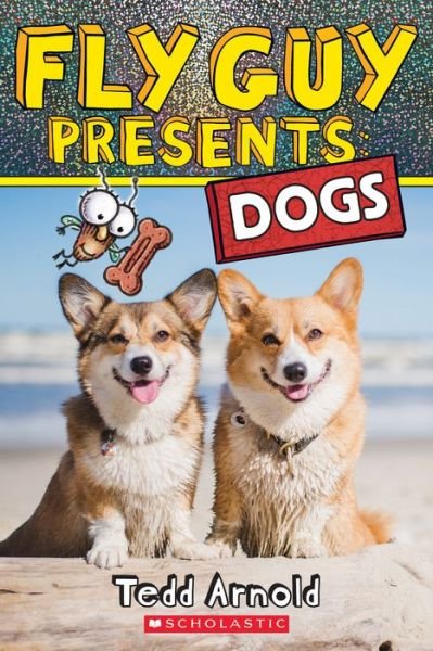 Fly Guy Presents: Dogs - Tedd Arnold - Kirjat - Scholastic Press - 9781338681802 - tiistai 18. lokakuuta 2022