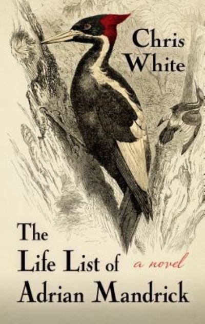 Cover for Chris White · Life List of Adrian Mandrick A Novel (Bok) (2018)