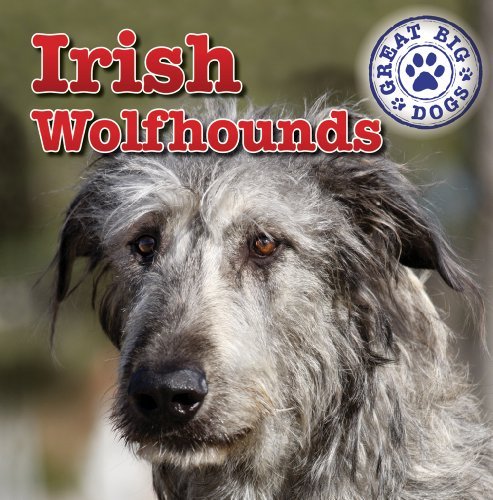 Cover for Kristen Rajczak · Irish Wolfhounds (Dog Mania Great Big Dogs) (Paperback Book) (2011)