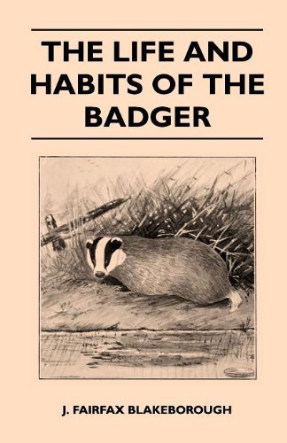 The Life and Habits of the Badger - J. Fairfax Blakeborough - Books - Herron Press - 9781446520802 - November 22, 2010