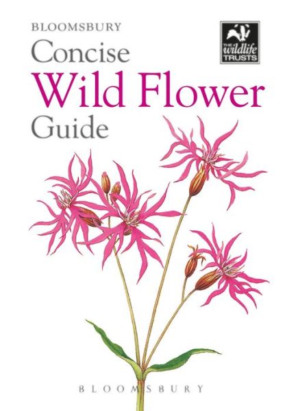 Concise Wild Flower Guide - Concise Guides - Bloomsbury - Kirjat - Bloomsbury Publishing PLC - 9781472963802 - maanantai 27. elokuuta 2018