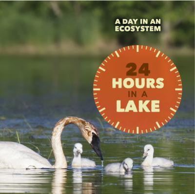 Cover for Alicia Z Klepeis · 24 Hours in a Lake (Hardcover Book) (2017)