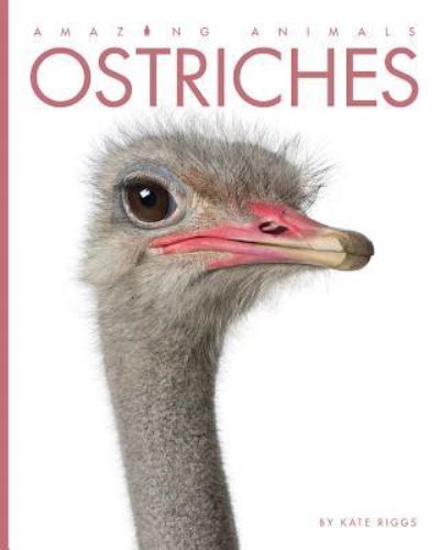 Cover for Kate Riggs · Ostriches (Hardcover Book) (2018)