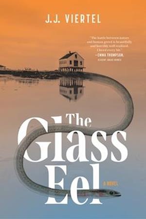 Cover for J. J. Viertel · The Glass Eel (Hardcover Book) (2025)