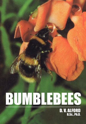 Cover for D V Alford · Bumble Bees (Paperback Bog) (2011)
