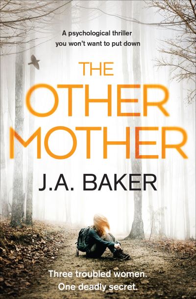 Cover for J. A. Baker · The Other Mother (Paperback Book) (2017)