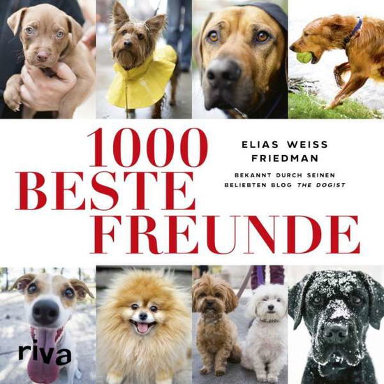 Cover for Friedman · 1000 beste Freunde (Book)