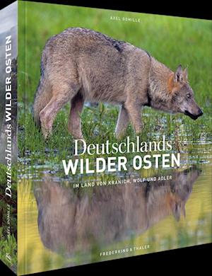 Deutschlands wilder Osten - Axel Gomille - Boeken - Frederking u. Thaler - 9783954162802 - 13 januari 2022