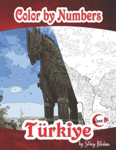 Cover for Stacy Bledsoe · Color by Number Turkiye Volume I (Paperback Book) (2021)