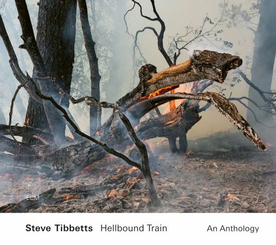 Cover for Steve Tibbetts · Hellbound Train - An Anthology (CD) (2022)