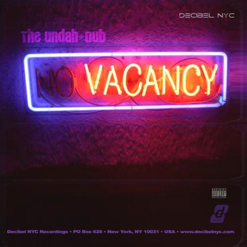 Cover for Undah-dub · No Vacancy (CD) (2009)