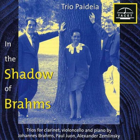 Cover for Brahms / Zemlinsky / Juon / Trio Paideia · Im Schatten Von Brahms 1 (CD) (1996)