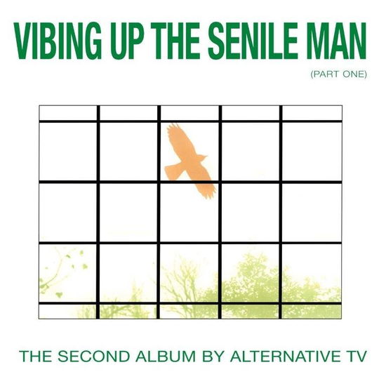 Vibing Up The Senile Man - Alternative Tv - Musikk - SPITTLE - 8056099004803 - 23. april 2021