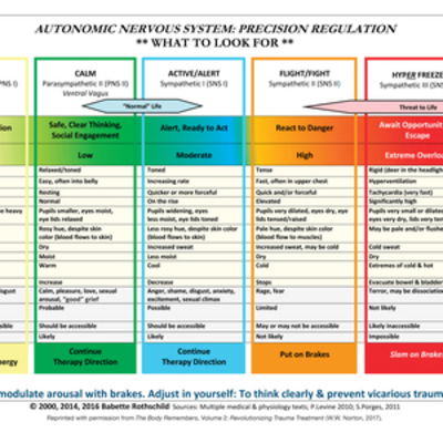 Cover for Babette Rothschild · Autonomic Nervous System Table: Laminated Card (Lernkarteikarten) (2017)