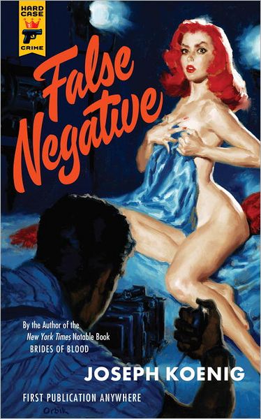 Cover for Joseph Koenig · False Negative (Paperback Book) (2012)