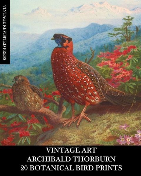 Cover for Vintage Revisited Press · Vintage Art (Pocketbok) (2024)