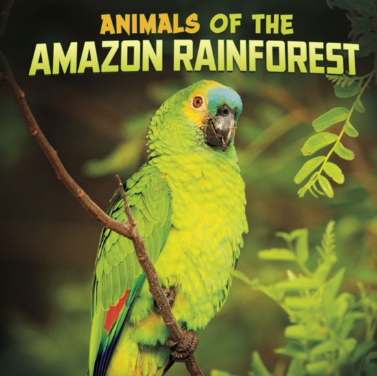 Cover for Mari Schuh · Animals of the Amazon Rainforest - Wild Biomes (Hardcover Book) (2022)