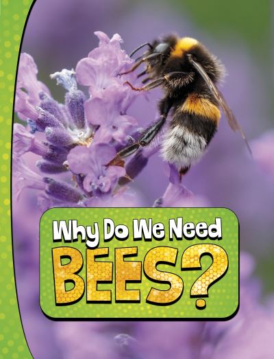 Cover for Laura K. Murray · Why Do We Need Bees? - Nature We Need (Hardcover Book) (2024)