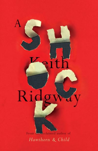 Cover for Keith Ridgway · A Shock (Paperback Book) (2021)