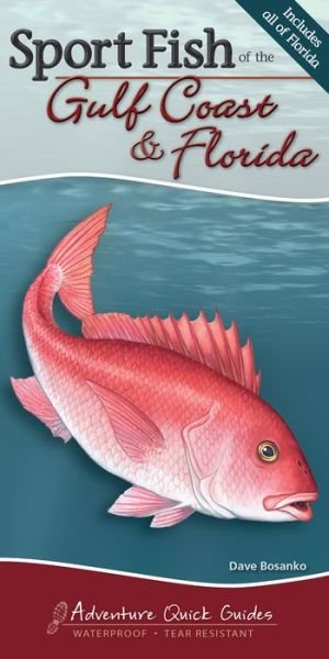 Cover for Dave Bosanko · Sport Fish of the Gulf Coast &amp; Florida: Your Way to Easily Identify Sport Fish - Adventure Quick Guides (Spiral Book) (2016)