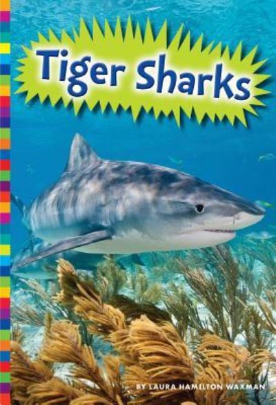 Cover for Laura Hamilton Waxman · Tiger sharks (Book) (2016)