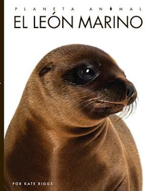 Cover for Kate Riggs · León Marino (Book) (2022)