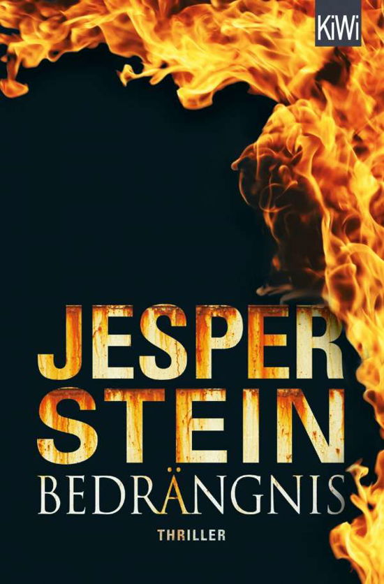 Cover for Stein · Bedrängnis (Bok)