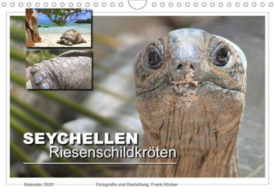 Seychellen Riesenschildkröten (W - Höcker - Książki -  - 9783671178803 - 